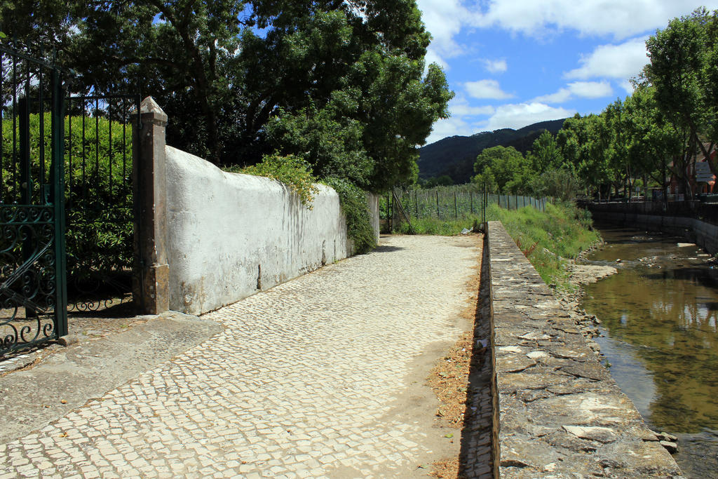 シントラ Quinta Da Varzeaヴィラ エクステリア 写真